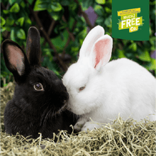 Load image into Gallery viewer, Burgess Excel Rabbit Adult with Oregano 1.5kg