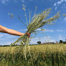 Load image into Gallery viewer, HayDay Outstanding Oat Hay 1kg