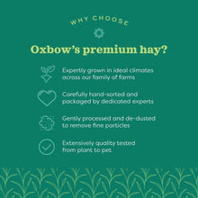 Load image into Gallery viewer, Oxbow Alfalfa Hay 15oz / 425g