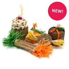 Load image into Gallery viewer, Oxbow Enriched Life Birthday Party Pack