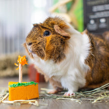 Load image into Gallery viewer, Oxbow Enriched Life Birthday Party Pack