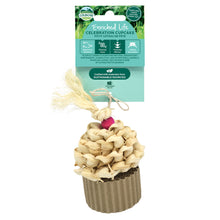 Load image into Gallery viewer, Oxbow Enriched Life Celebration Cupcake - Small Animal Chew Toy