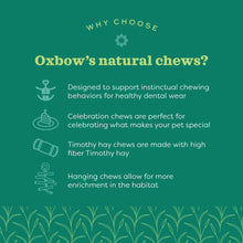 Load image into Gallery viewer, Oxbow Enriched Life Celebration Cupcake - Small Animal Chew Toy
