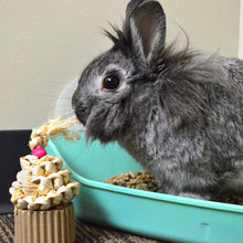 Load image into Gallery viewer, Oxbow Enriched Life Celebration Cupcake - Small Animal Chew Toy