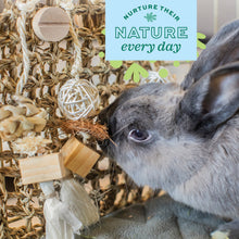 Load image into Gallery viewer, Oxbow Enriched Life Play Wall - Small Animal Chew Toy