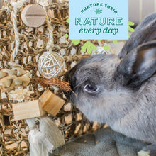 Load image into Gallery viewer, Oxbow Enriched Life Play Wall - Small Animal Chew Toy