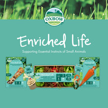 Load image into Gallery viewer, Oxbow Enriched Life Play Wall - Small Animal Chew Toy