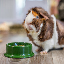 Load image into Gallery viewer, Oxbow Essentials Adult Guinea Pig Food 2.5kg