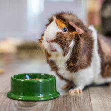 Load image into Gallery viewer, Oxbow Essentials Adult Guinea Pig Food 2.5kg