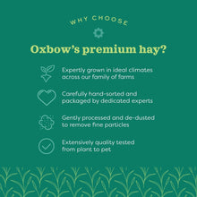 Load image into Gallery viewer, Oxbow Hay Blends - Western Timothy & Orchard 40oz / 1.13kg