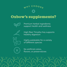 Load image into Gallery viewer, Oxbow Natural Science Vitamin C Support 120g