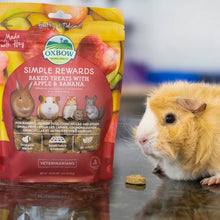 Load image into Gallery viewer, Oxbow Simple Rewards Baked Treats - Apple & Banana 85g