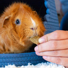 Load image into Gallery viewer, Oxbow Simple Rewards Baked Treats - Carrot & Dill 85g