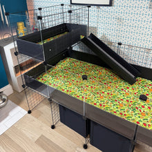 Load image into Gallery viewer, Ozzy Cages 2x1 C&C Narrow Loft Kit - Clear Sided - C&C Guinea Pig Cage Enclosure