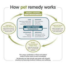 Load image into Gallery viewer, Pet Remedy Small Mammal Calming and Bonding Kit