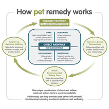 Load image into Gallery viewer, Pet Remedy Small Mammal Calming and Bonding Kit
