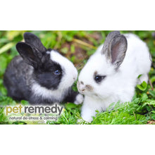 Load image into Gallery viewer, Pet Remedy Small Mammal Calming and Bonding Kit