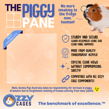 Load image into Gallery viewer, Ozzy C&C Clear Panels - Pack of 4