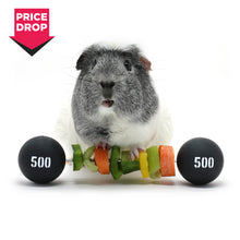 Load image into Gallery viewer, HayPigs!® Piggy Weightlifter™ - Vegetable Kebab Maker