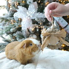 Load image into Gallery viewer, Rosewood Cupid & Comet Heart Wreath for Guinea Pigs & Small Furries