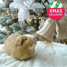 Load image into Gallery viewer, Rosewood Cupid & Comet Rattan Bells for Guinea Pigs & Small Furries