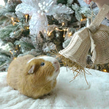 Load image into Gallery viewer, Rosewood Cupid & Comet Rattan Bells for Guinea Pigs & Small Furries