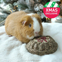 Load image into Gallery viewer, Rosewood Naturals Herb ’n’ Hay Party Gateau for Guinea Pigs & Small Furries 130g