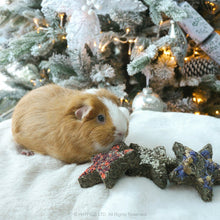 Load image into Gallery viewer, Rosewood Naturals Herb ’n’ Hay Star Trio for Guinea Pigs & Small Furries