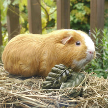 Load image into Gallery viewer, Rosewood Boredom Breaker Veggie Burst Nibble Leaves (6pk)