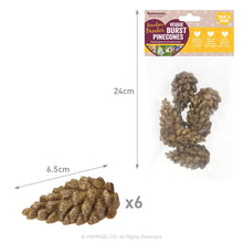 Load image into Gallery viewer, Rosewood Boredom Breaker Veggie Burst Pinecones (6pk)
