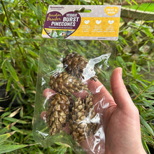 Load image into Gallery viewer, Rosewood Boredom Breaker Veggie Burst Pinecones (6pk)
