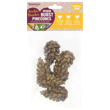 Load image into Gallery viewer, Rosewood Boredom Breaker Veggie Burst Pinecones (6pk)