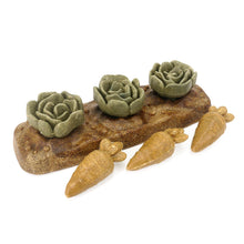 Load image into Gallery viewer, Rosewood Boredom Breaker Veggie Burst Salad Patch