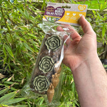 Load image into Gallery viewer, Rosewood Boredom Breaker Veggie Burst Salad Patch