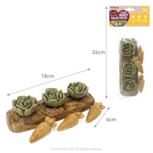 Load image into Gallery viewer, Rosewood Boredom Breaker Veggie Burst Salad Patch