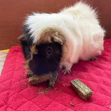 Load image into Gallery viewer, Rosewood Naturals Hemp Health (Skin & Coat / Digestion) 75g