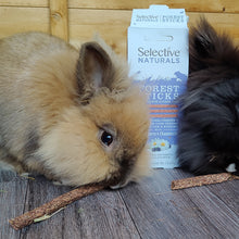 Load image into Gallery viewer, Selective Naturals Forest Sticks with Blackberry and Chamomile, 80g