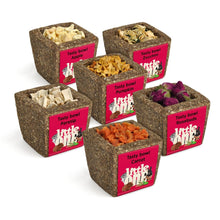 Load image into Gallery viewer, Little One Bowl with Filling - 6 Flavours (Parsnip, Zucchini, Carrot, Apple, Rose Buds, Pumpkin) 65g