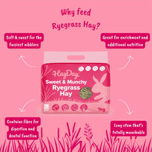 Load image into Gallery viewer, HayDay Sweet & Munchy Ryegrass Hay 1kg