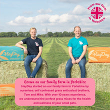 Load image into Gallery viewer, HayDay Sweet & Munchy Ryegrass Hay 1kg