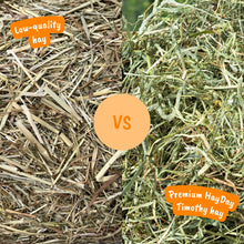 Load image into Gallery viewer, HayDay Tasty Timothy Hay (1kg or 2.7kg)