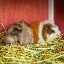 Load image into Gallery viewer, The Little Hay Co. Cotswold Sweet Hay 5kg or 10kg