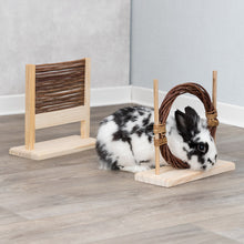 Load image into Gallery viewer, Trixie Agility Set