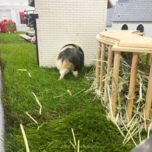 Load image into Gallery viewer, Trixie Hay Manger - Hay Feeder - Large