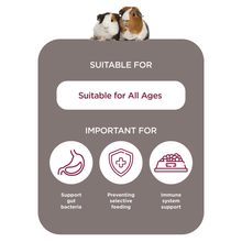 Load image into Gallery viewer, Burgess Excel Indoor Guinea Pig Nuggets 1.5kg