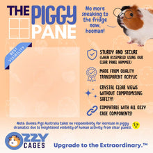 Load image into Gallery viewer, Clear guinea pig C&C cage panels - Ozzy Cages