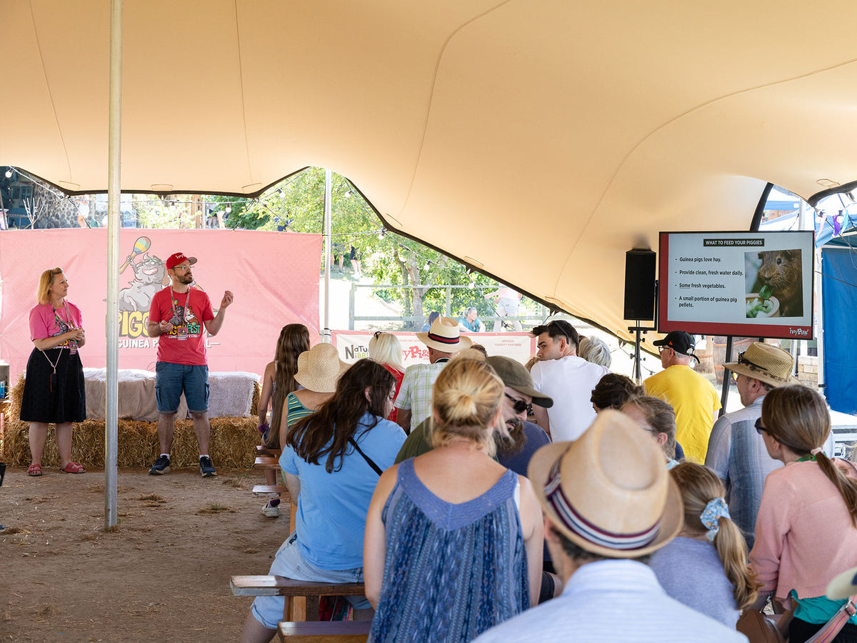 Rik and Helen Cridland presenting a guinea pig welfare talk in the Talks Tent at Piggy Fest 2026