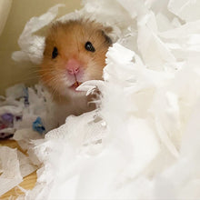 Load image into Gallery viewer, Burgess Excel Nap & Nest Luxury Paper Bedding 750g