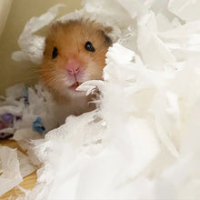 Load image into Gallery viewer, Burgess Excel Nap & Nest Luxury Paper Bedding 650g