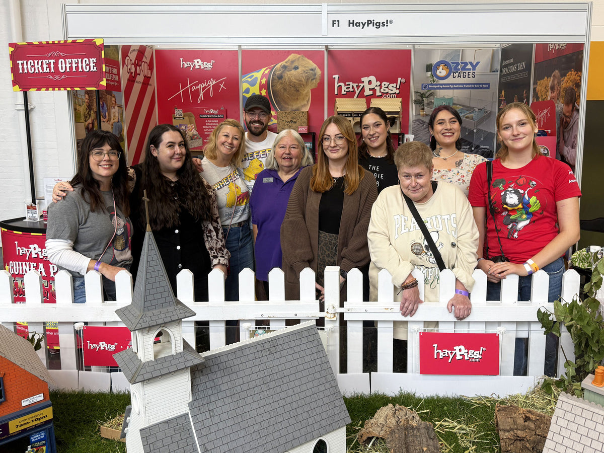 Team HayPigs! and friends on the HayPigs! stand at London Pet Show Live 2025, Olympia